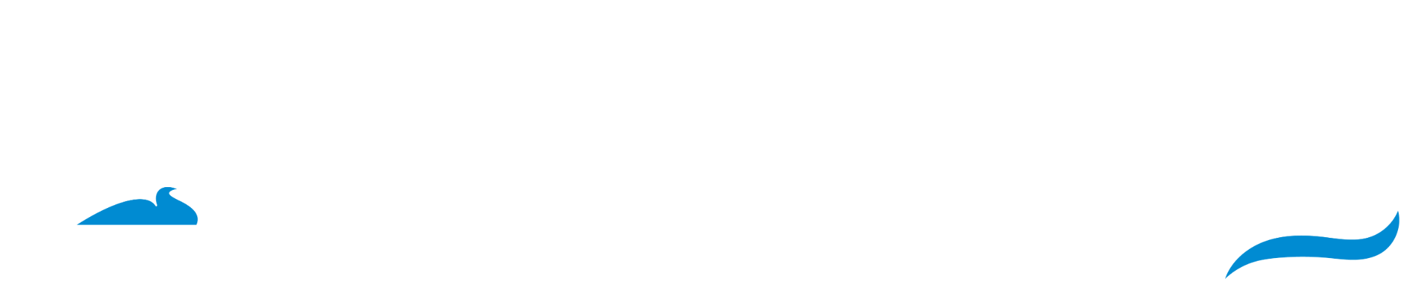 Navalshore